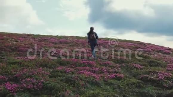 一个年轻迷人的女人背着背包爬上了花山山满是粉红色的小山视频的预览图