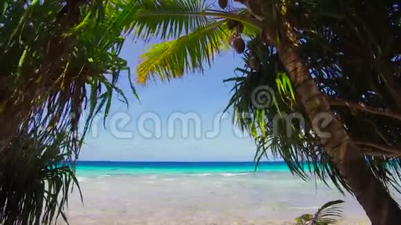 法属波利尼西亚带球虫的热带海滩视频的预览图