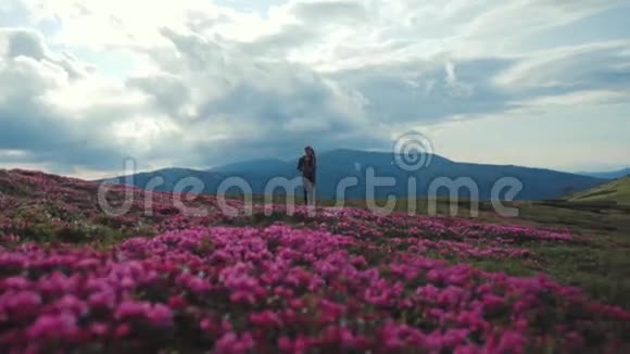 一个年轻女子穿着运动服背着背包独自漫步在满是鲜花的山上视频的预览图