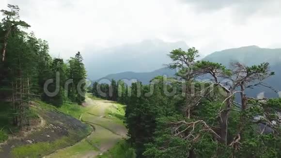 从上面俯瞰的青山覆盖着森林的顶部景色山顶景观视频的预览图