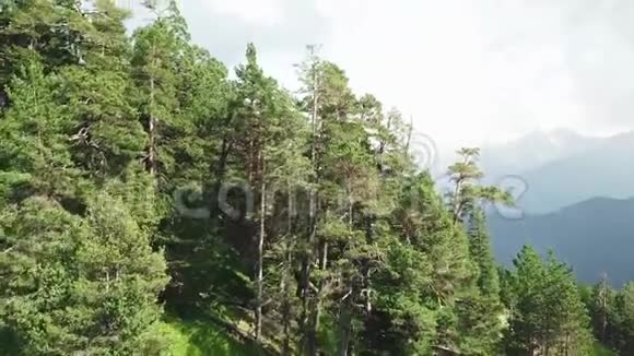 从上面俯瞰的青山覆盖着森林的顶部景色山顶景观视频的预览图