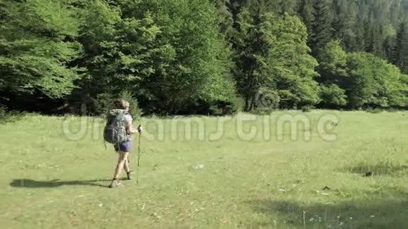 小女孩带着巴克普乔治亚国家公园走在山上视频的预览图