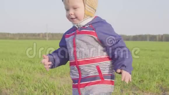 一岁的男孩带着年轻的小麦去田间特写视频的预览图