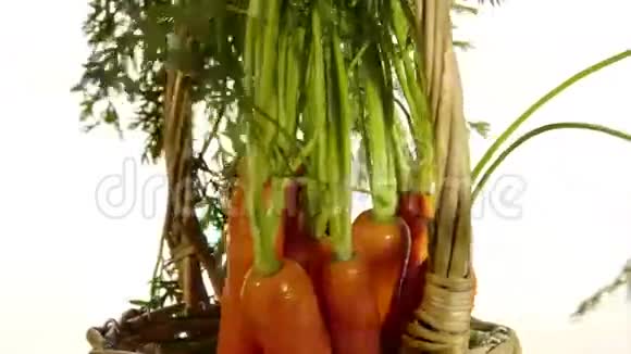 新鲜胡萝卜视频的预览图