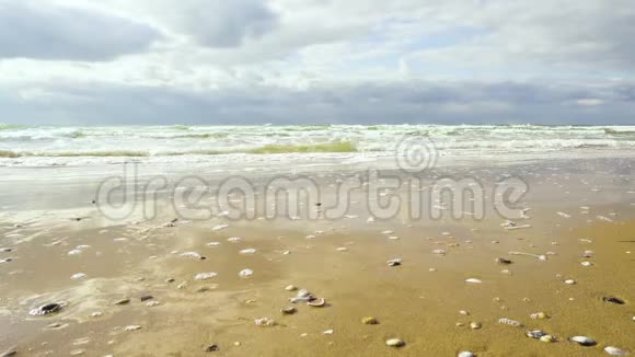 波浪卷向沙滩视频的预览图