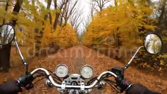 4K奇妙的摩托车骑在橙色秋林的道路上视野开阔的骑手经典的直升机永远视频的预览图