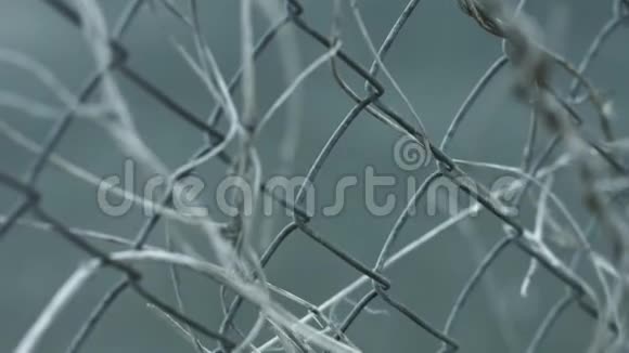 有干植物茎的街道链栅栏结构铁丝网围栏视频的预览图