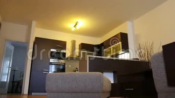 厨房和客厅视频的预览图