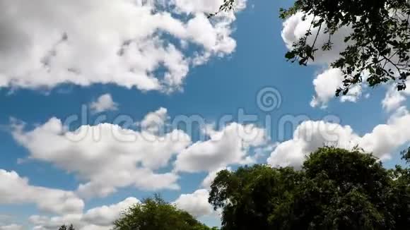 白云与蓝天绿树时光流逝视频的预览图