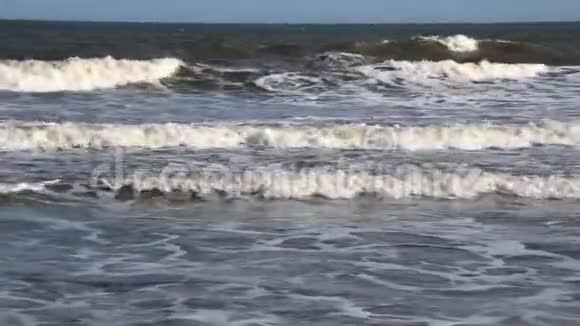 海波向岸去视频的预览图