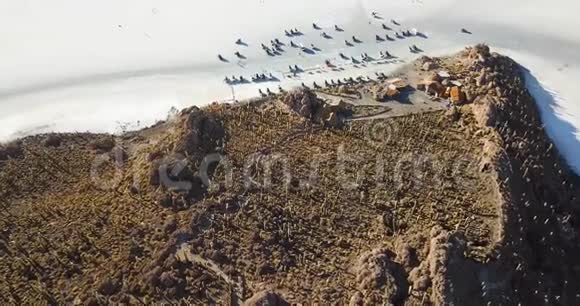 在玻利维亚乌尤尼盐湖上的仙人掌岛印加瓦西岛的鸟瞰图视频的预览图