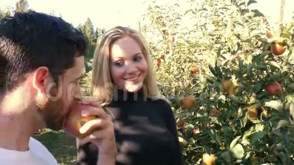 人在苹果园吃苹果视频的预览图
