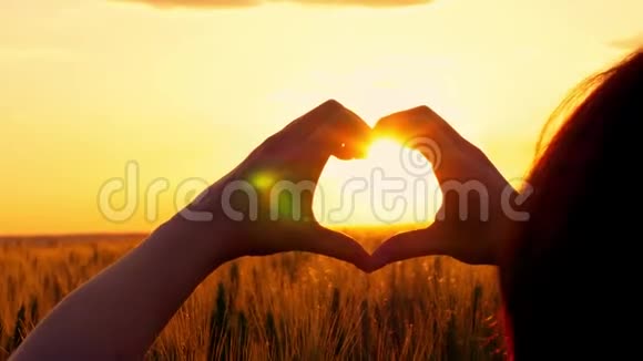 在夕阳的背景下一位年轻女子从爱的象征手中取出一颗心的剪影视频的预览图