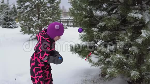 快乐的孩子在户外装饰一棵蓬松的圣诞树视频的预览图