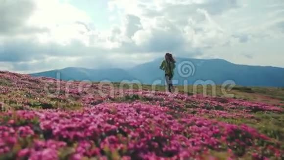 低角度拍摄了一个迷人的女性背包客快乐地跑下花山山粉色山脉视频的预览图