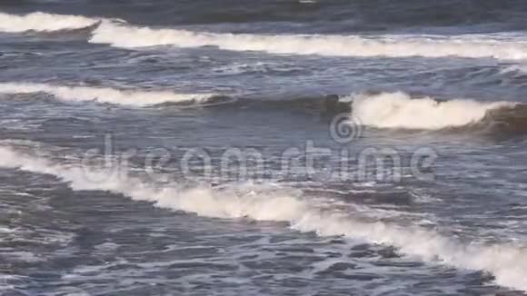海波向岸去视频的预览图