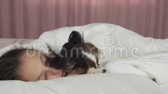 快乐少女与狗狗帕皮隆在床上交流视频视频的预览图