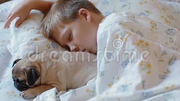 小白孩和小狗狗睡在床上视频的预览图