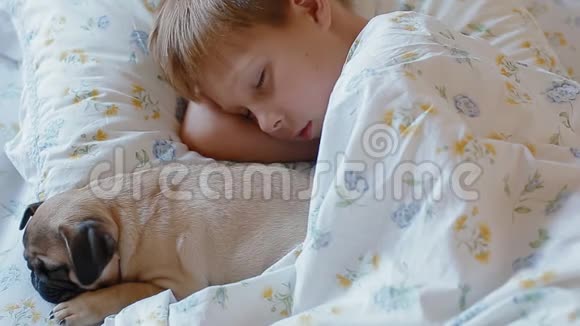 小白孩和小狗狗睡在床上视频的预览图