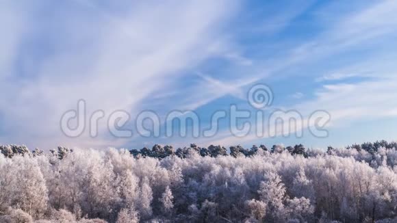 蓝天下的冰霜树和飞机小径视频的预览图