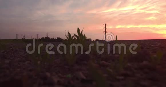 原始的观点漫长而蜿蜒的道路穿过青山日落时有乡村风景4K视频的预览图