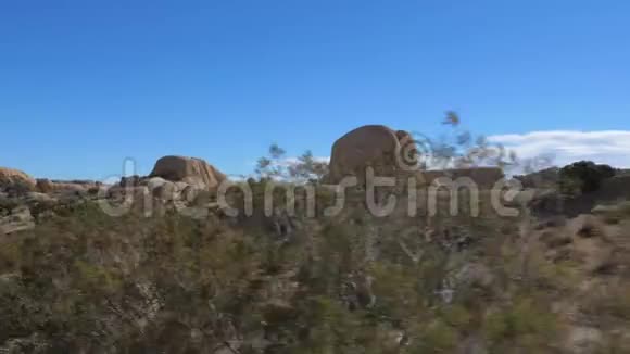 沙漠运动约书亚树公园仙人掌绕大石头慢4K视频的预览图