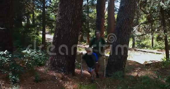 父子俩在森林里用木棍徒步旅行视频的预览图