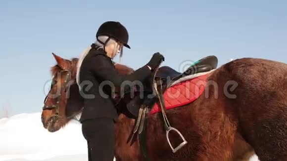 年轻漂亮的女孩骑师在冬天照顾一匹马视频的预览图