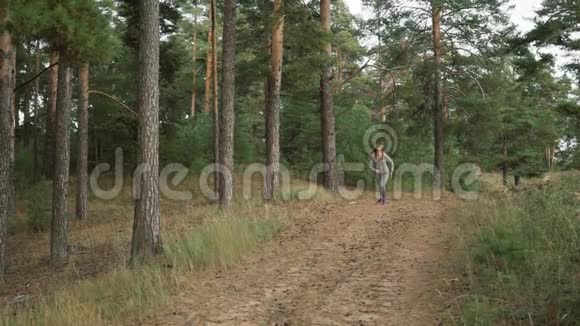 跑步者穿过松林一个穿灰色运动服的金发女郎在森林里奔跑视频的预览图