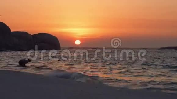 日落时冲浪的人视频的预览图