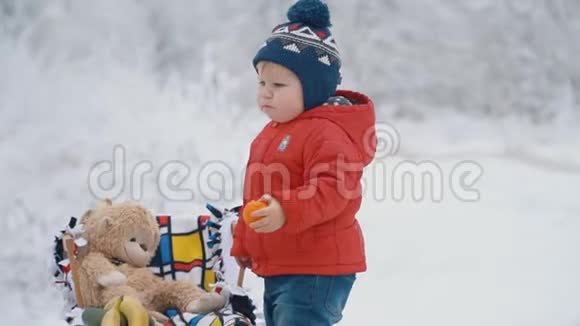 带雪橇的小男孩视频的预览图