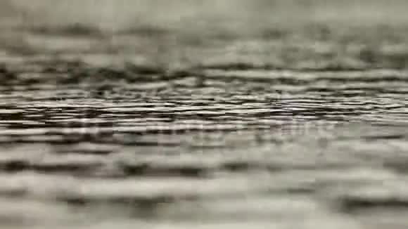 水上大雨秋季天气雨滴和气泡水滴掉进水库里慢速视频视频的预览图