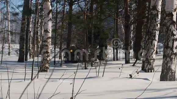 在树林间的深雪堆上驾驶微型雪车的人视频的预览图