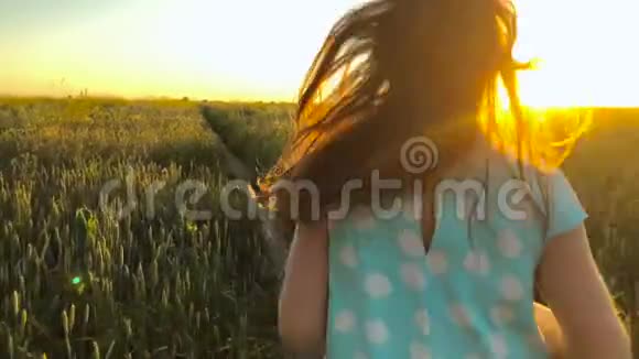 美丽的女孩在日落的天空上奔跑在绿色的麦田上自由概念日落时的麦田慢动作视频的预览图