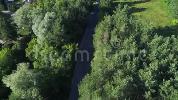 在道路和森林之上飞行视频的预览图