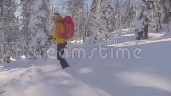 西伯利亚的滑雪场一个更自由的人骑在雪林中下山视频的预览图