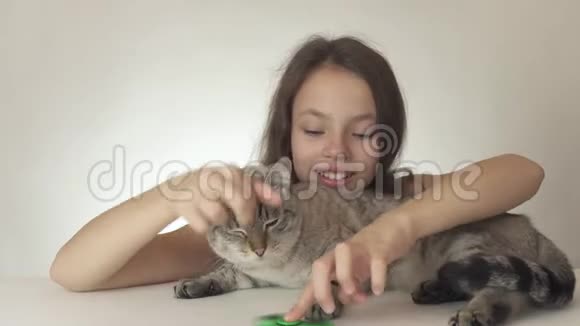 美丽开朗的少女与猫玩绿色坐立不安旋转在白色背景股票录像视频视频的预览图