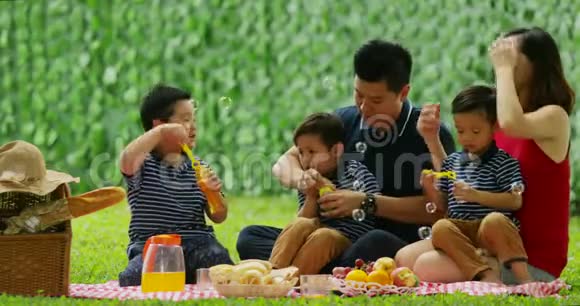 家庭野餐和玩肥皂泡视频的预览图