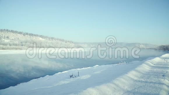 冬河全景雪中的树视频的预览图