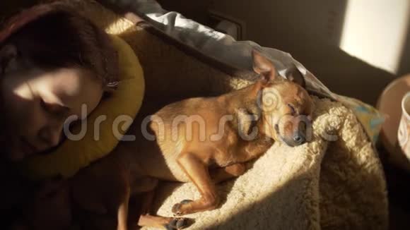 可爱的美丽的睡眠少女和她的小狗狗的肖像阳光明媚的春天60到24fps印度海岸美丽的梦幻视频的预览图
