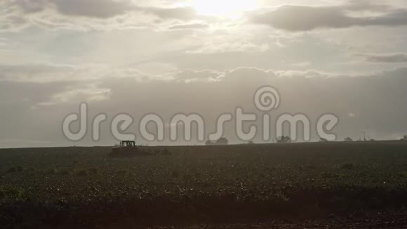 农场工人在清晨在田间收获西兰花时的剪影视频的预览图