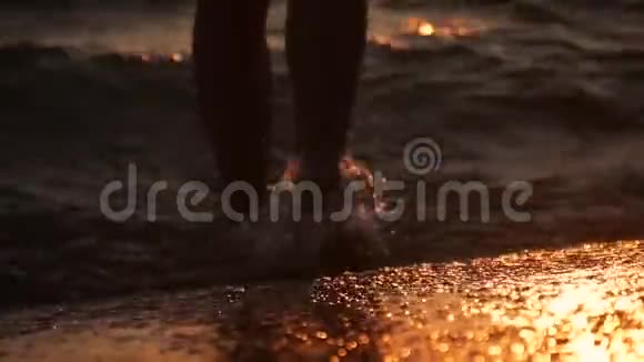 徒步旅行者赤脚在岸上行走的女性脚年轻女子沿着海边的腿女孩踩着视频的预览图