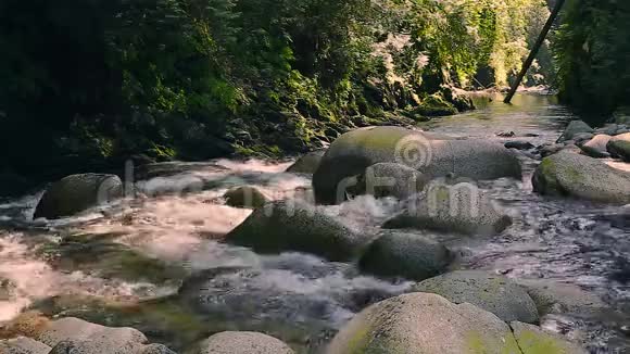 在不列颠哥伦比亚省北温哥华的林恩峡谷公园沿着徒步旅行路线流过岩石和巨石的溪流视频的预览图