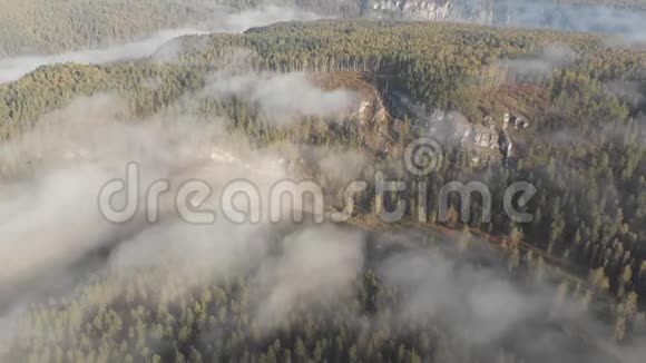 缓慢的空中飞行向后越过一条平缓的山河松林云视频的预览图