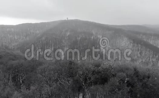 雪落在山上冬天在森林上空飞翔视频的预览图