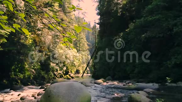 在不列颠哥伦比亚省北温哥华的林恩峡谷公园沿着徒步旅行路线流过岩石和巨石的溪流视频的预览图
