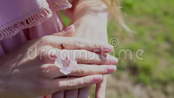 有花的女人手上的昆虫瓢虫视频的预览图