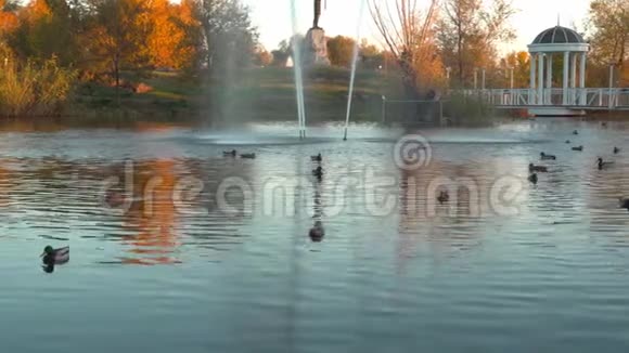 秋天的风景公园里的湖视频的预览图