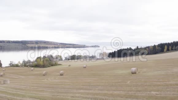 Mjosa湖的农业视频的预览图