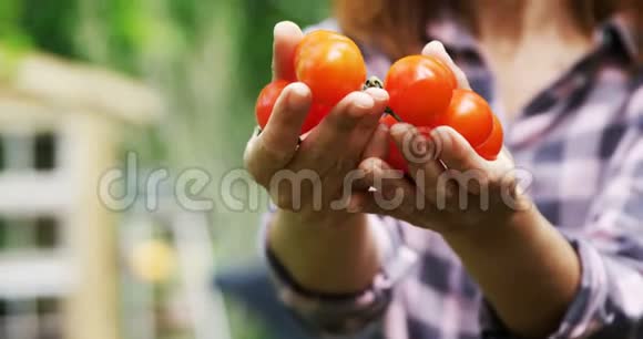 成熟的女人拿着西红柿4K视频的预览图